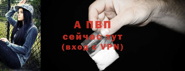 гидра Белая Холуница