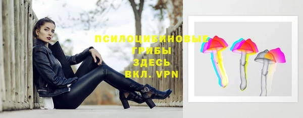 хмурый Белая Калитва