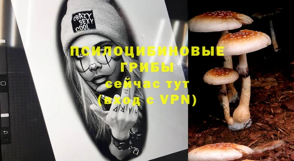 хмурый Белая Калитва