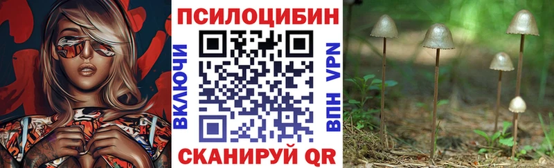 Купить  Жердевка  Псилоцибиновые грибы ЛСД 