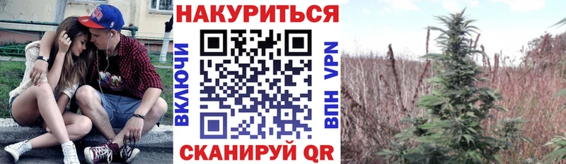 Шишки марихуана LSD WEED  Купить  Жердевка 